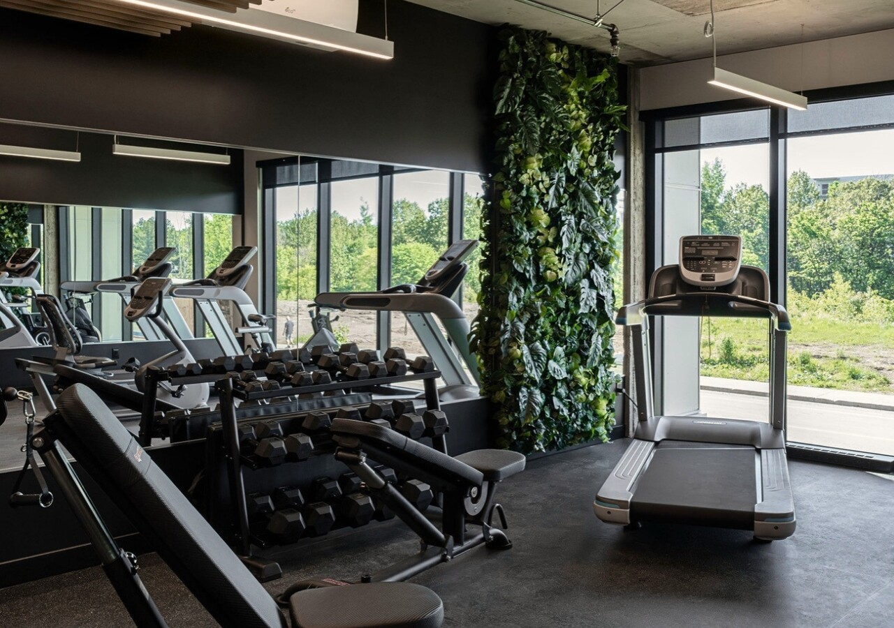 Anticosti Lévis gym
