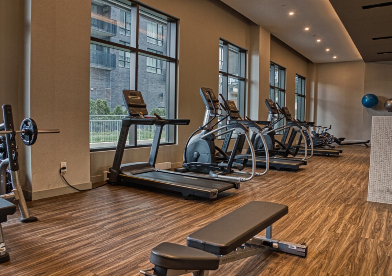 Carlyle condos locatifs gym