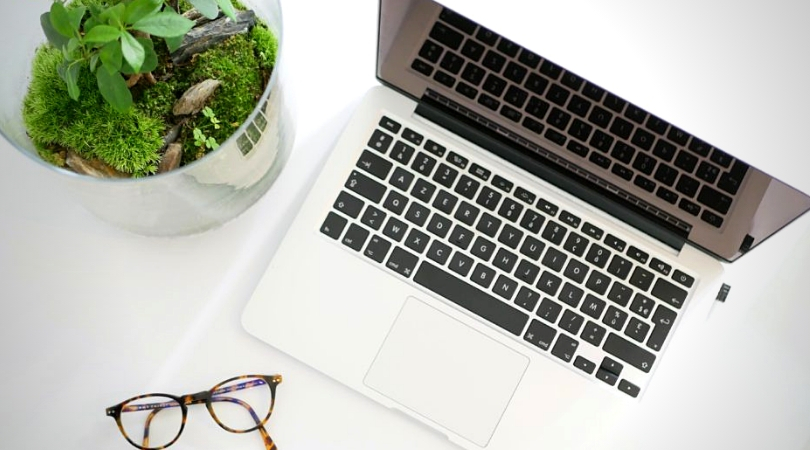 les plantes d'intérieur et leur effet sur les ondes électromagnétiques