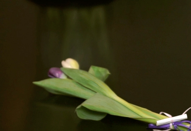 Découvrez ce que represente la maman pour l&rsquo;équipe DevMcGill!