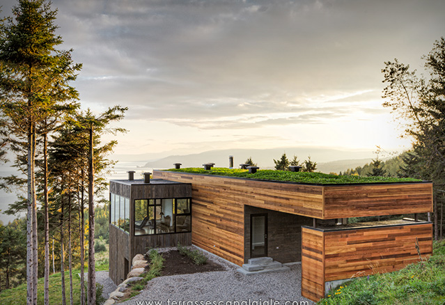 Crédit d&rsquo;impôt RénoVert – Vos rénos pourraient vous faire épargner gros !