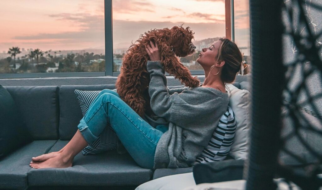 condo locatif animaux acceptés