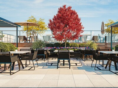 Mostra Newman rooftop terrace