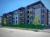 Novium sur le Plateau