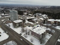 Projet rue des Roitelets