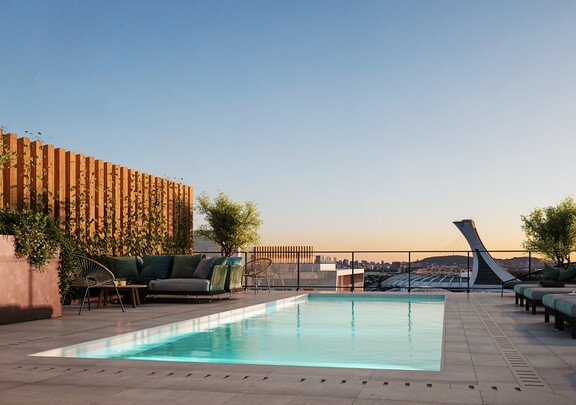 Elan – photo 2