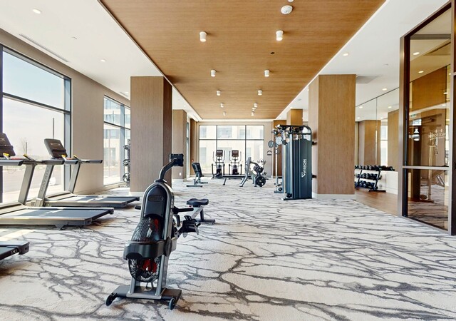 Équinoxe Saint-Elzéar – photo 4