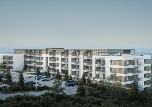 Medway Alto – photo 1