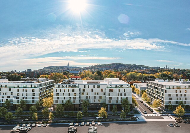 Milhaus Condos locatifs – photo 1