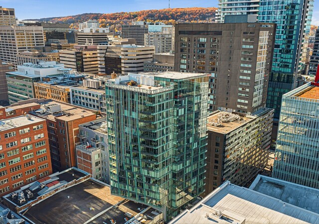 Primeira appartements – photo 1