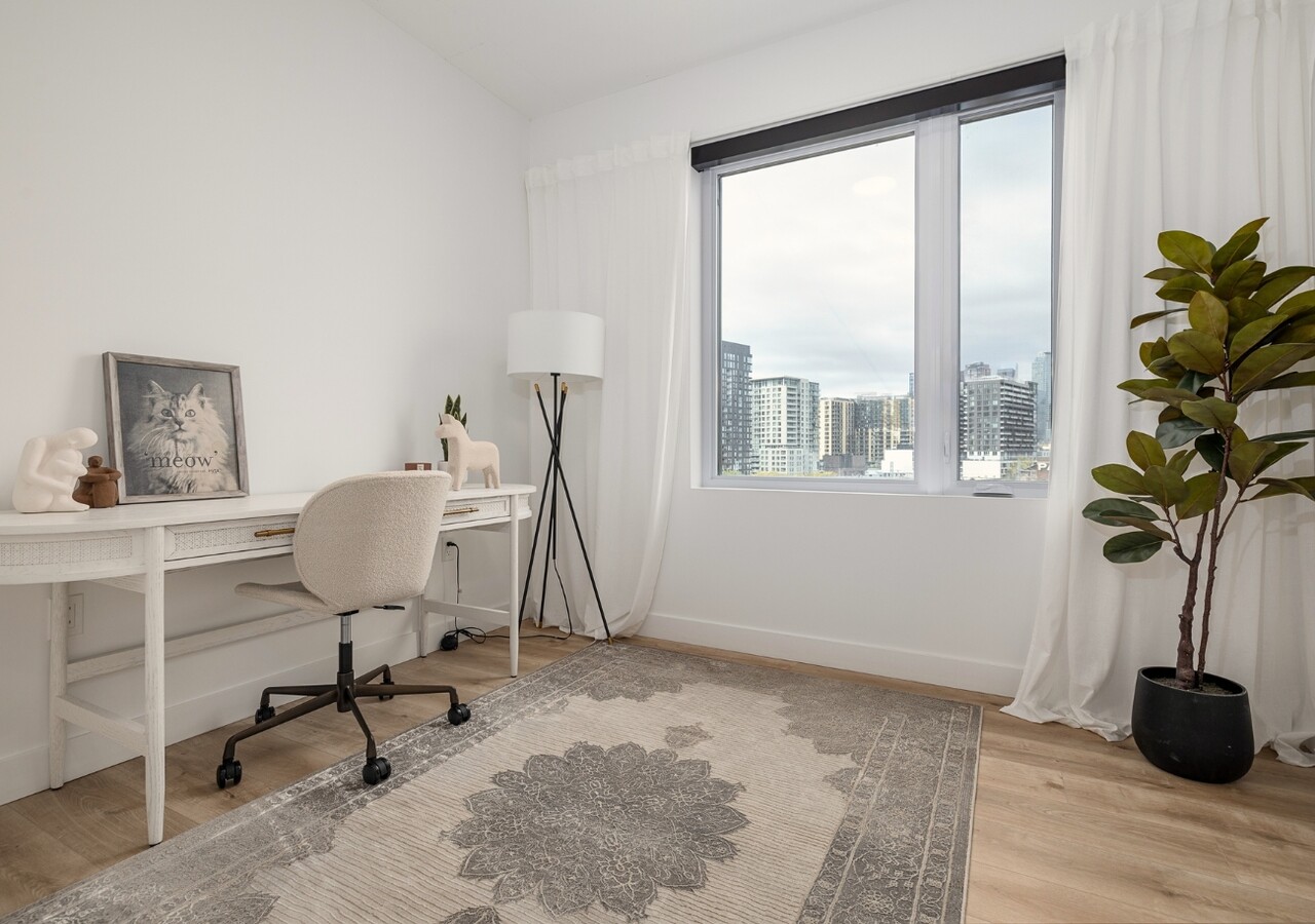 Haleco office space