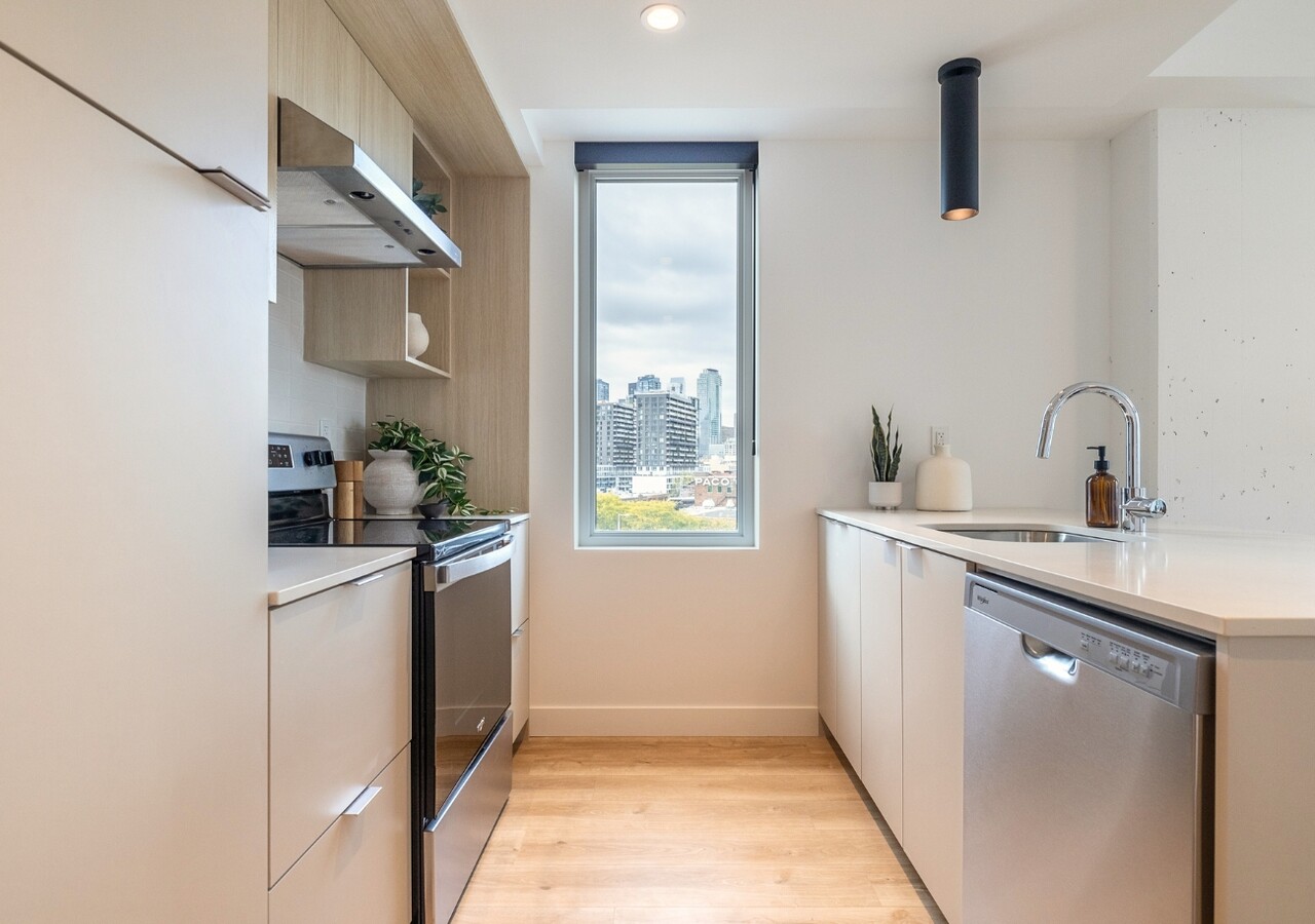 Haleco modern kitchen