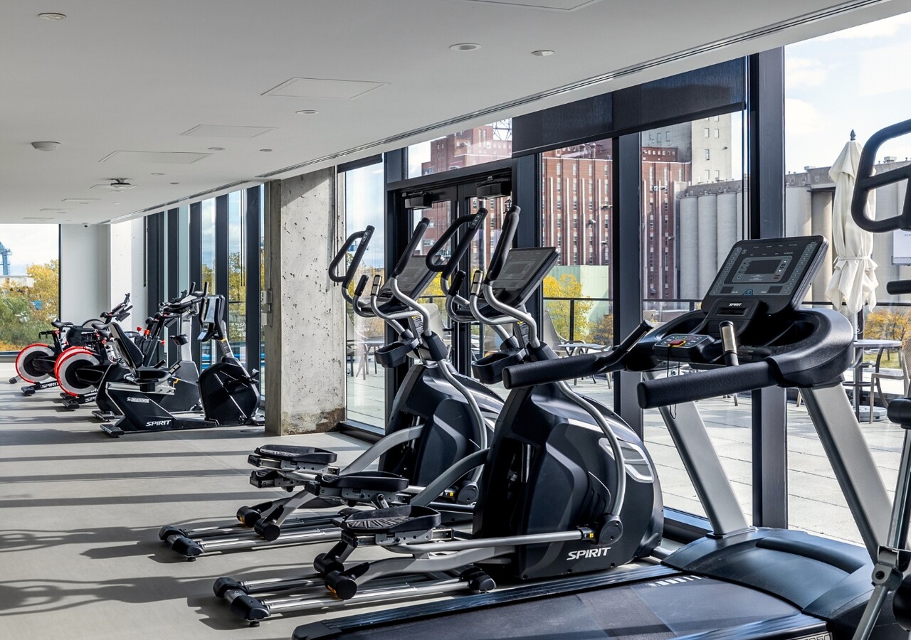 Haleco gym