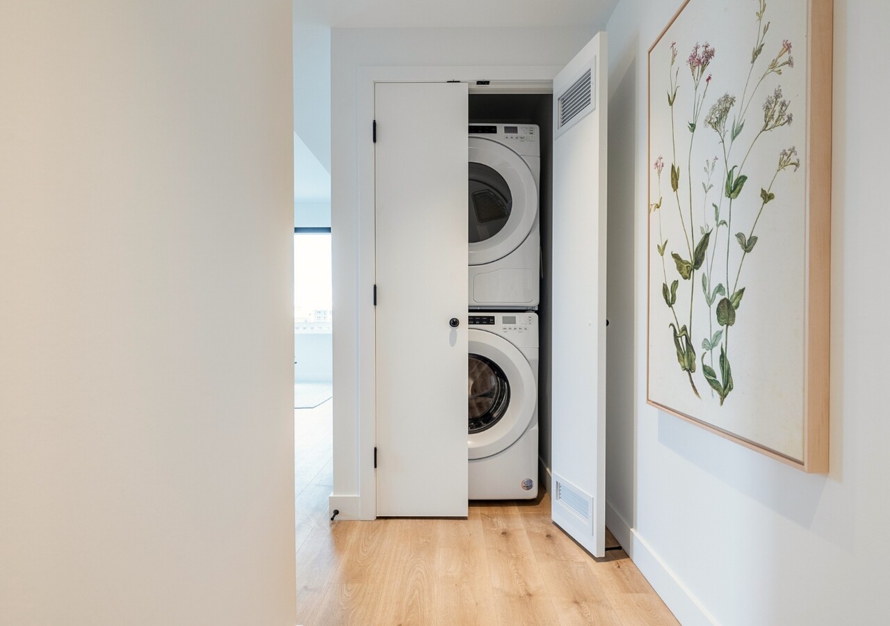 Haleco washing machine