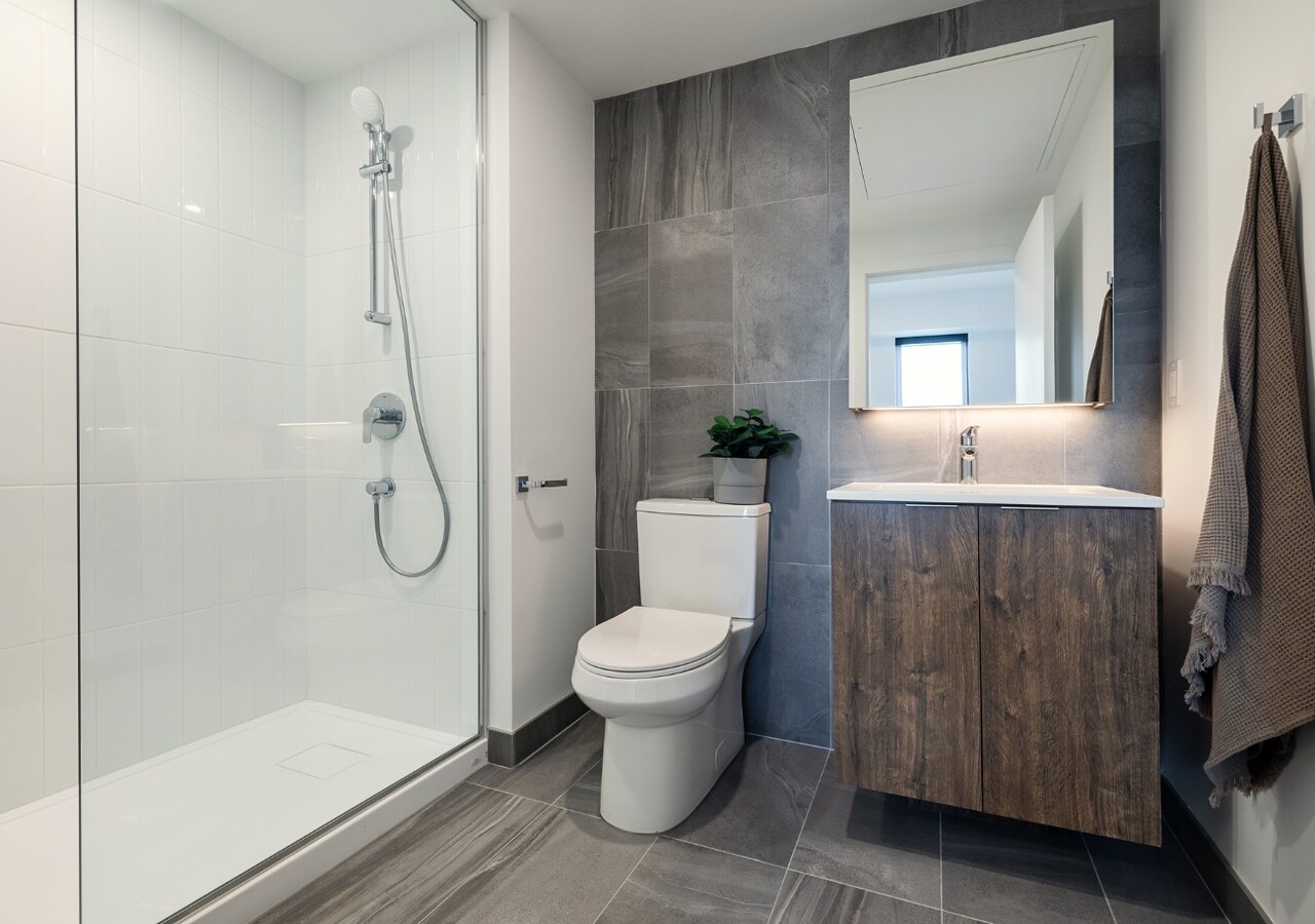 Haleco bathroom