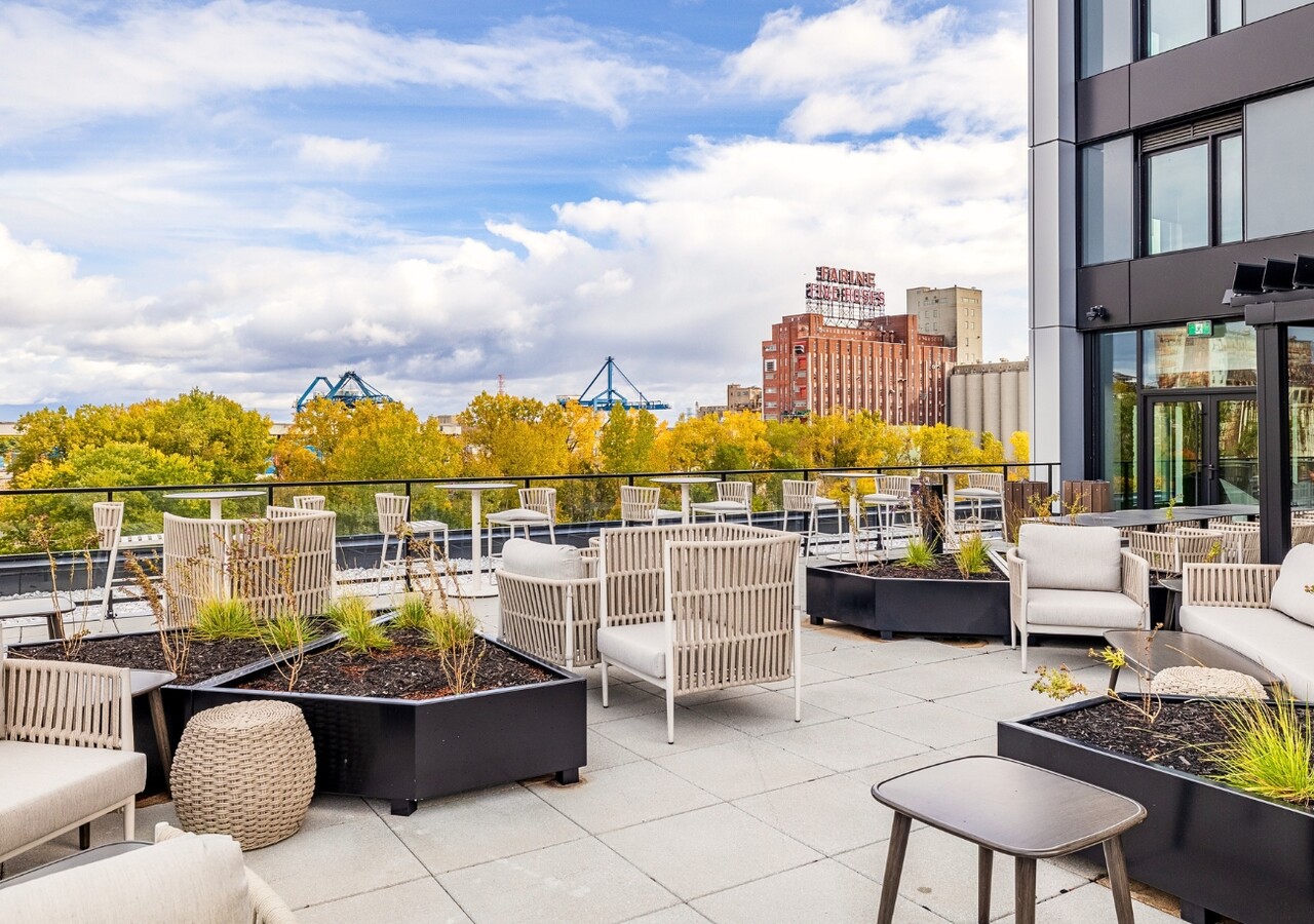 Haleco rooftop terrace