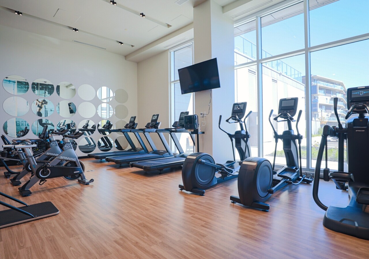 Voltige Aria gym fully equipped