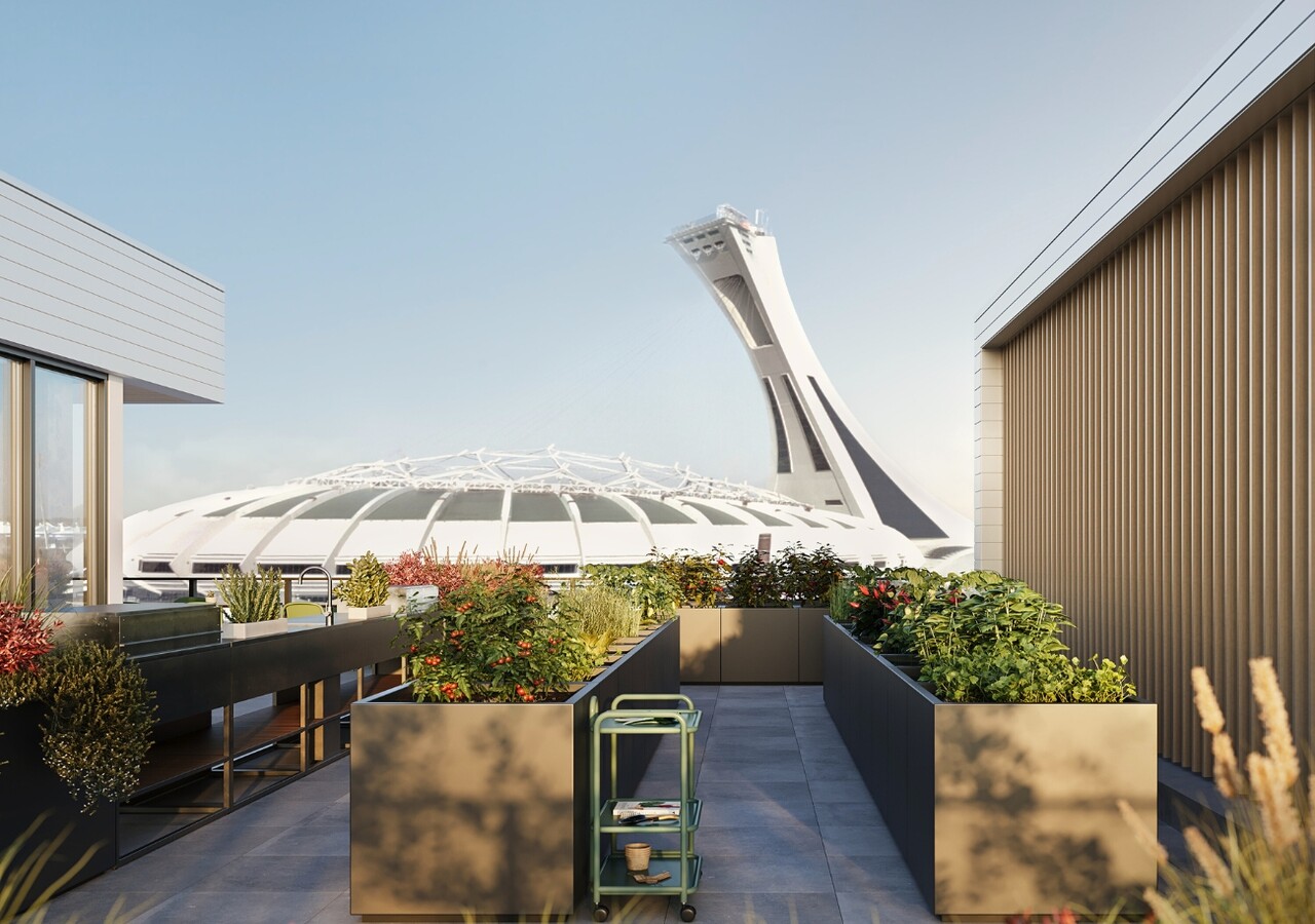 Canoë Condos terrasse sur le toit avec vue