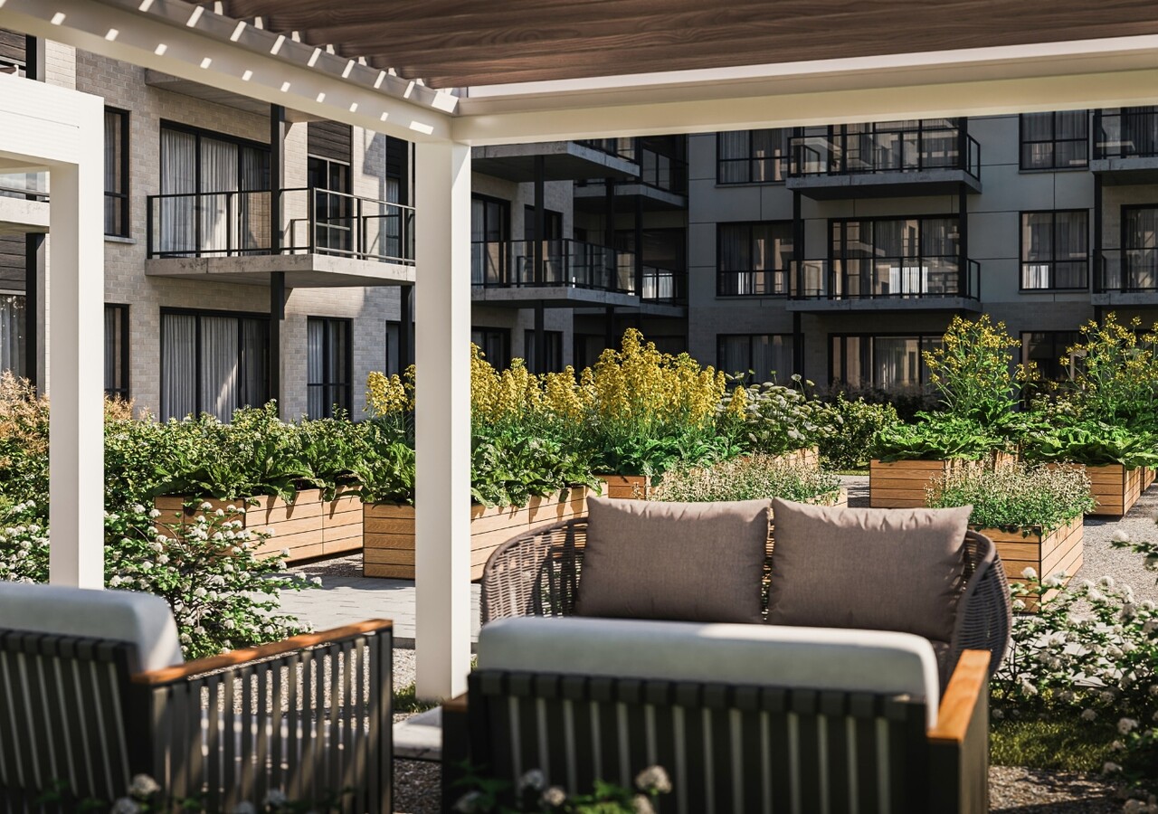 Edena Condos pergolas