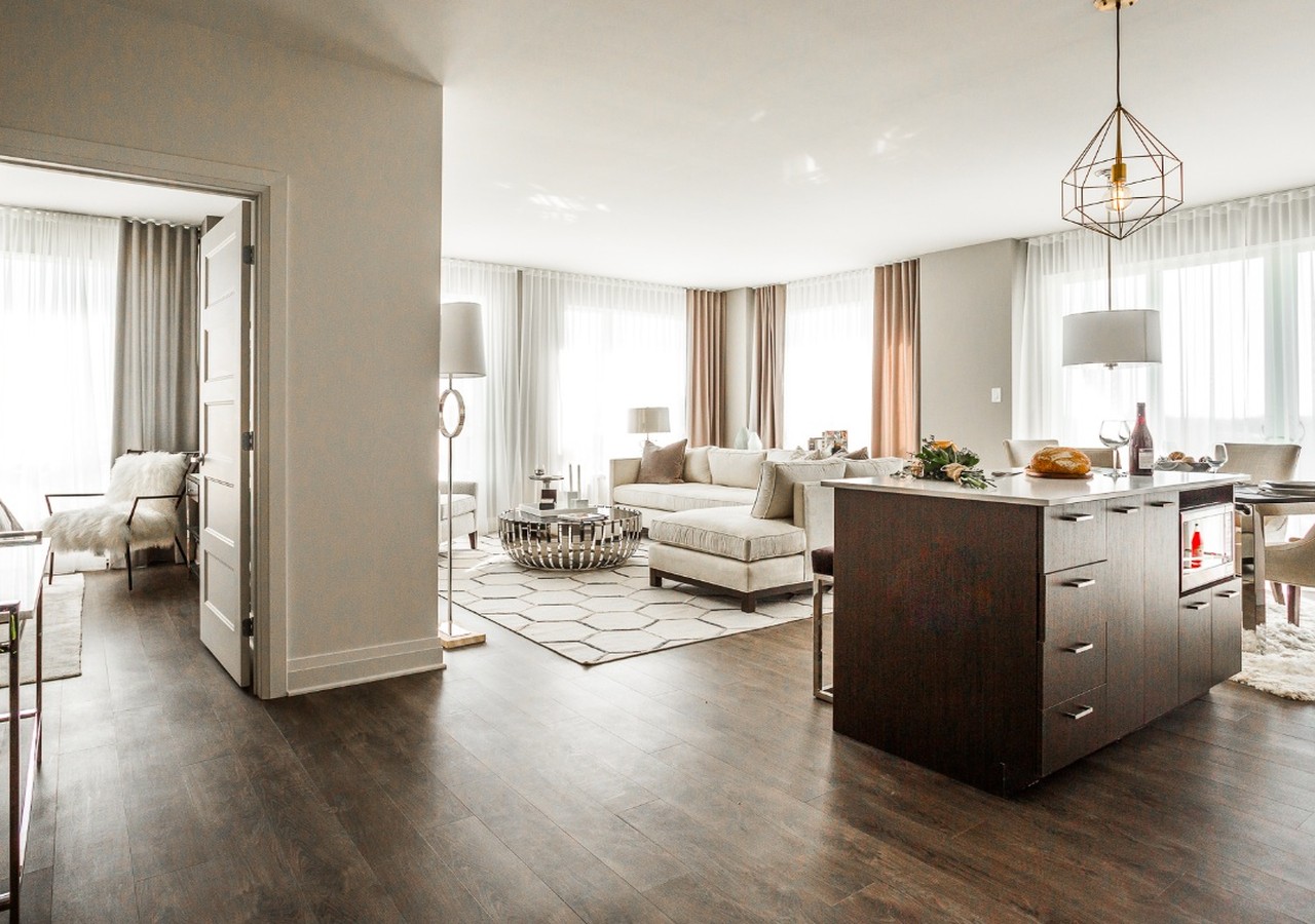 Open space area with the kitchen and the livingroom