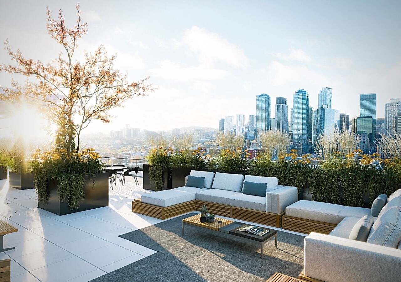 Griffin Square Terrasse sur le toit
