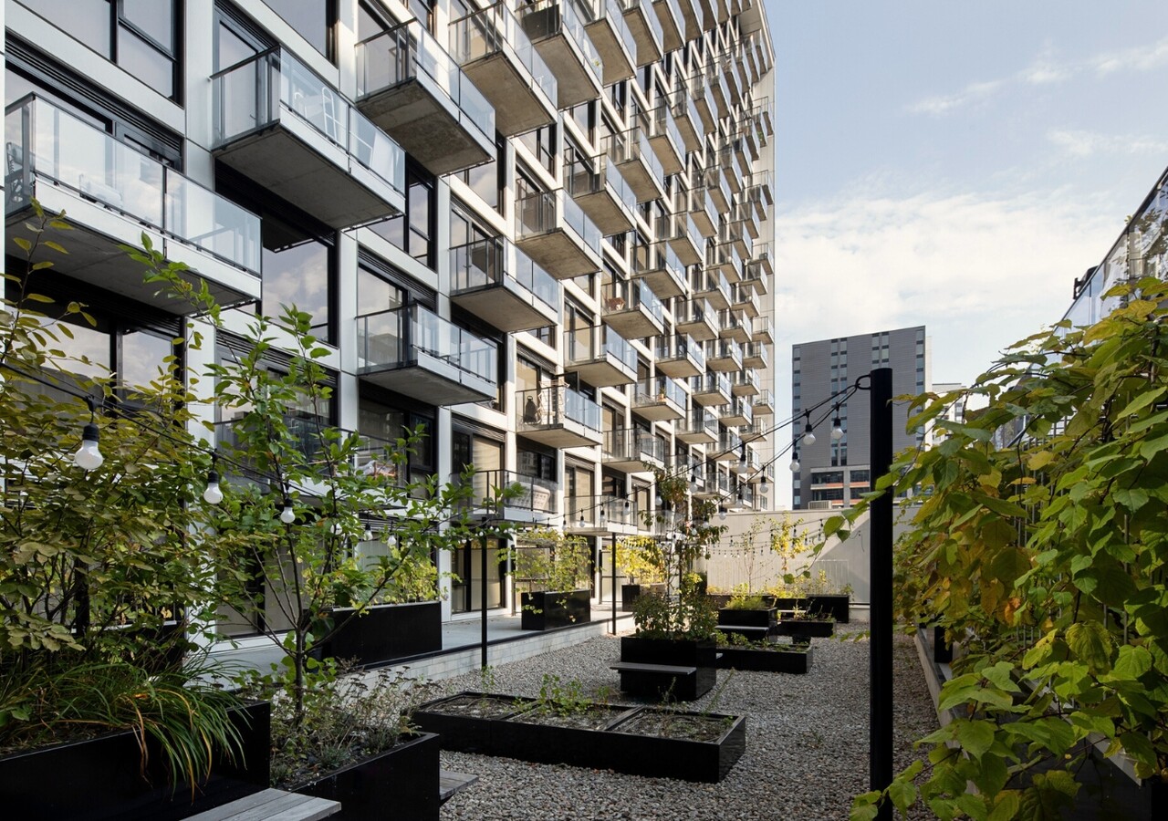 Griffin Square garden