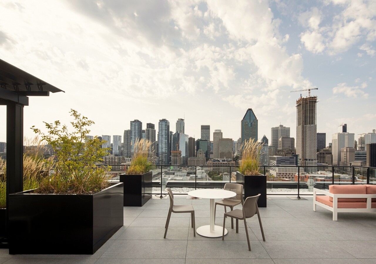 Griffin Square rooftop terrace