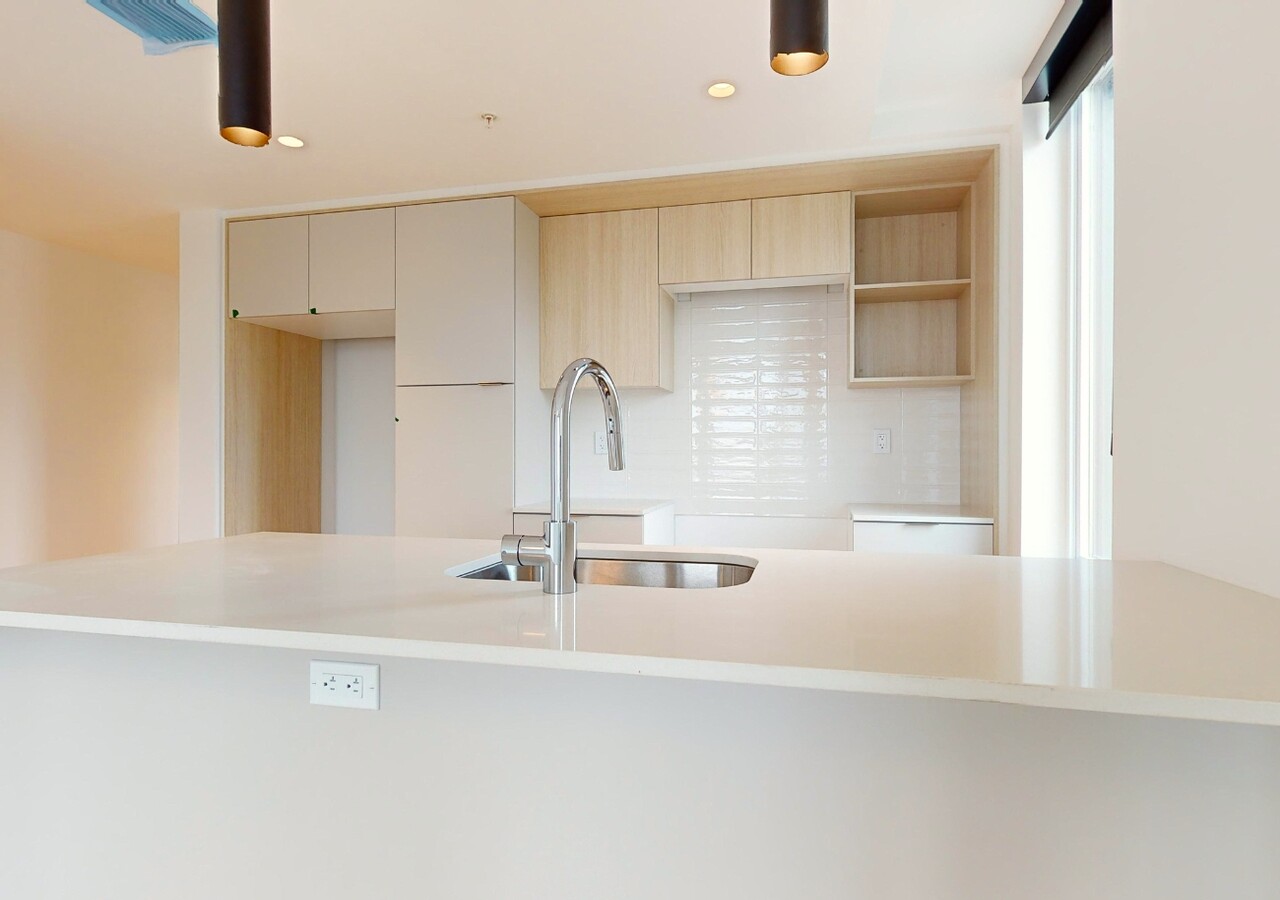 Haleco modern kitchen