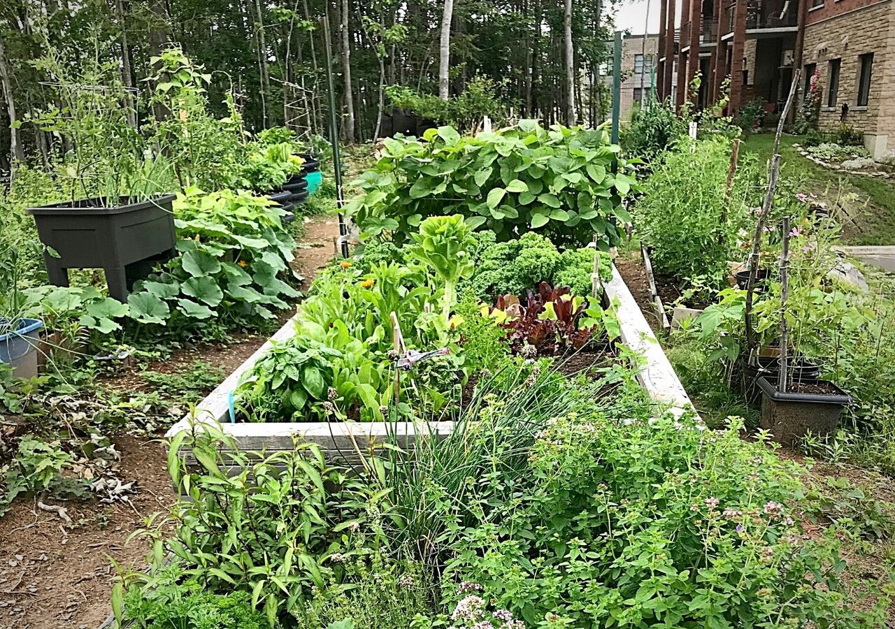 Havre des Pins garden