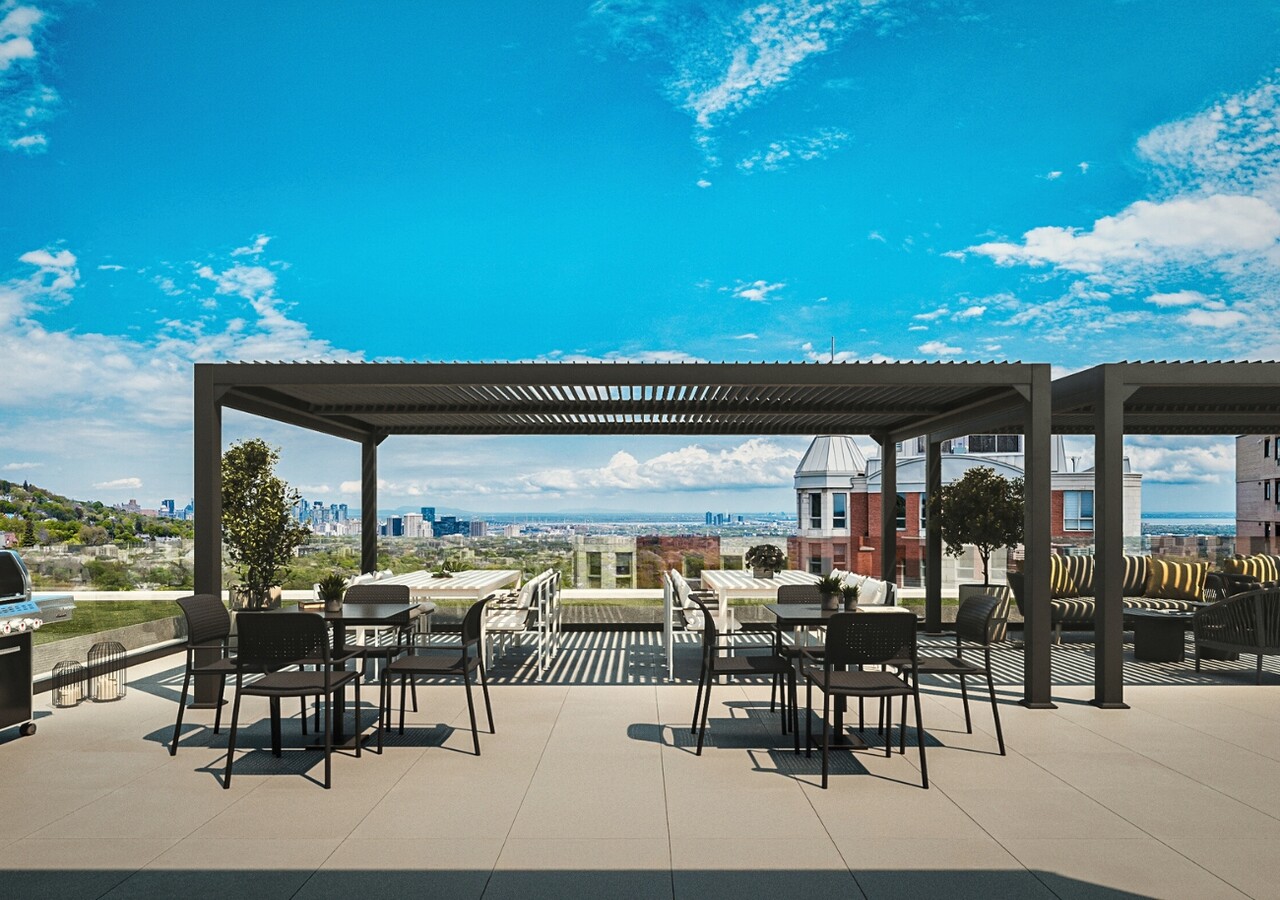 Le Loyal rooftop terrace