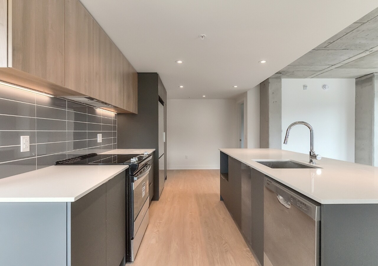 Sherwin modern kitchen