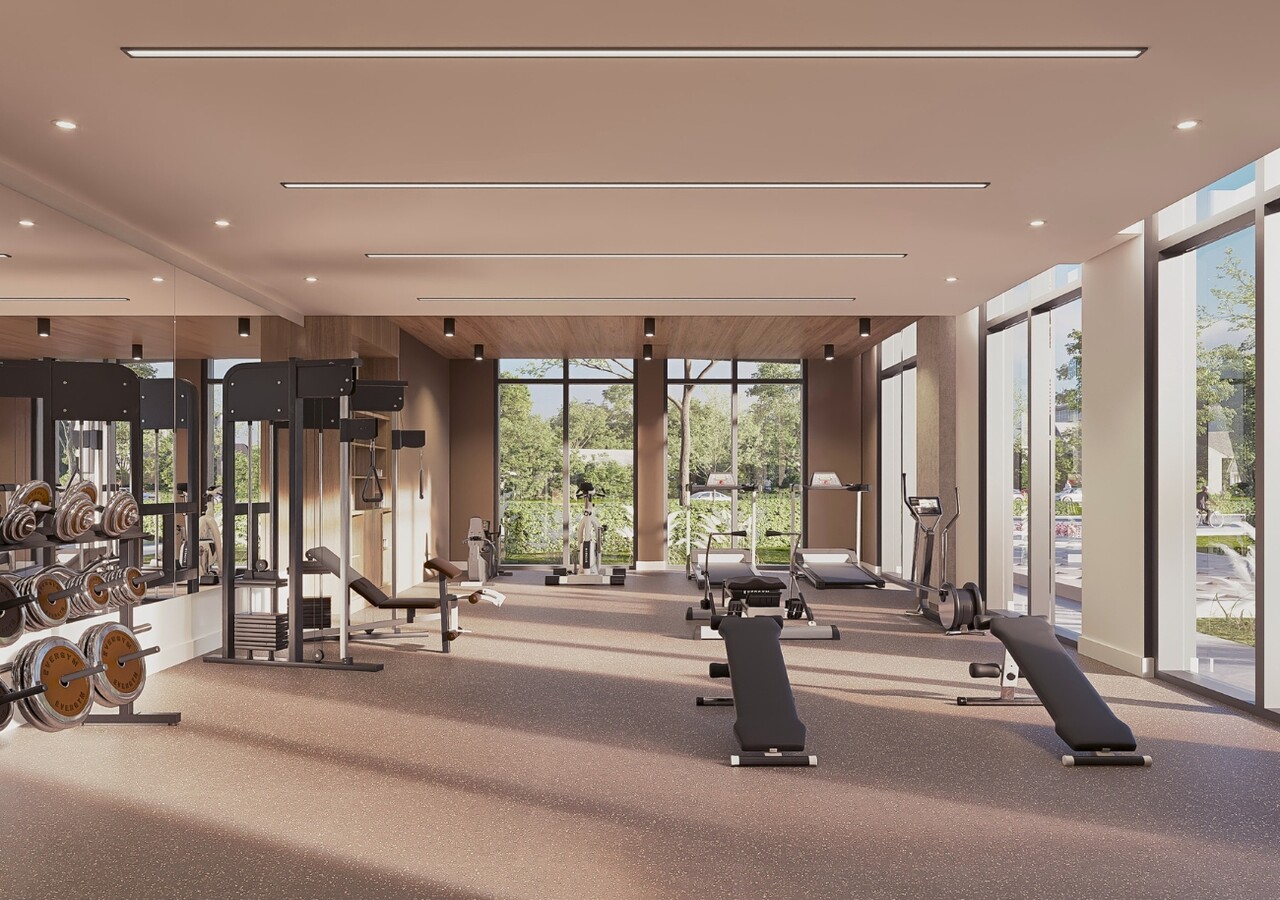 Vaia gym