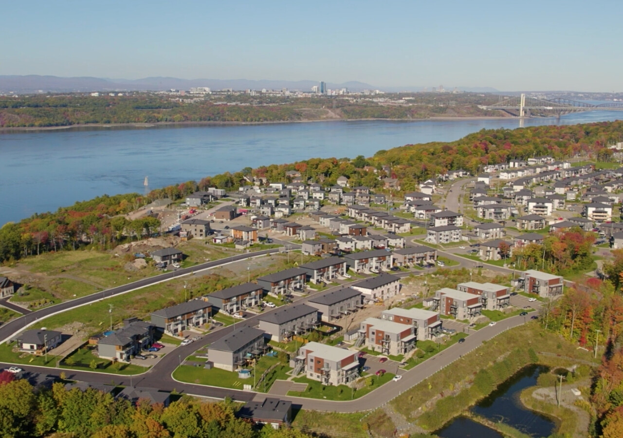 Vog & Vag bird view