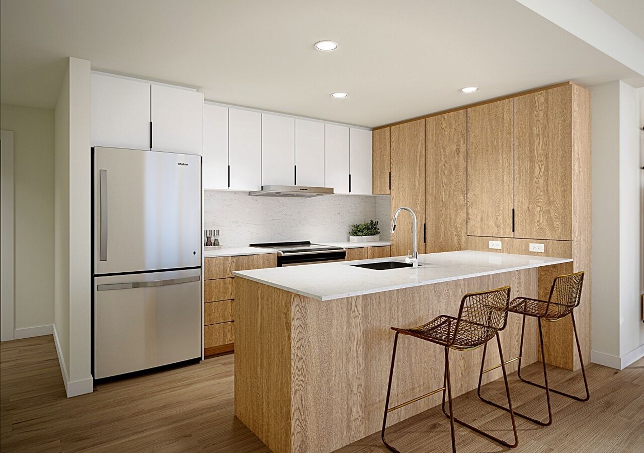 Voltige modern kitchen