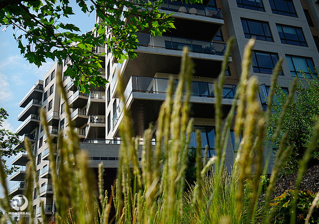 Urbano – photo 2