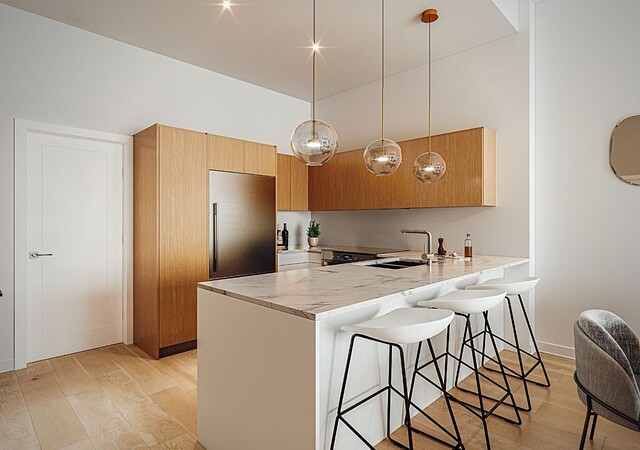 Zenith Condos Locatifs Phase 2 – photo 3