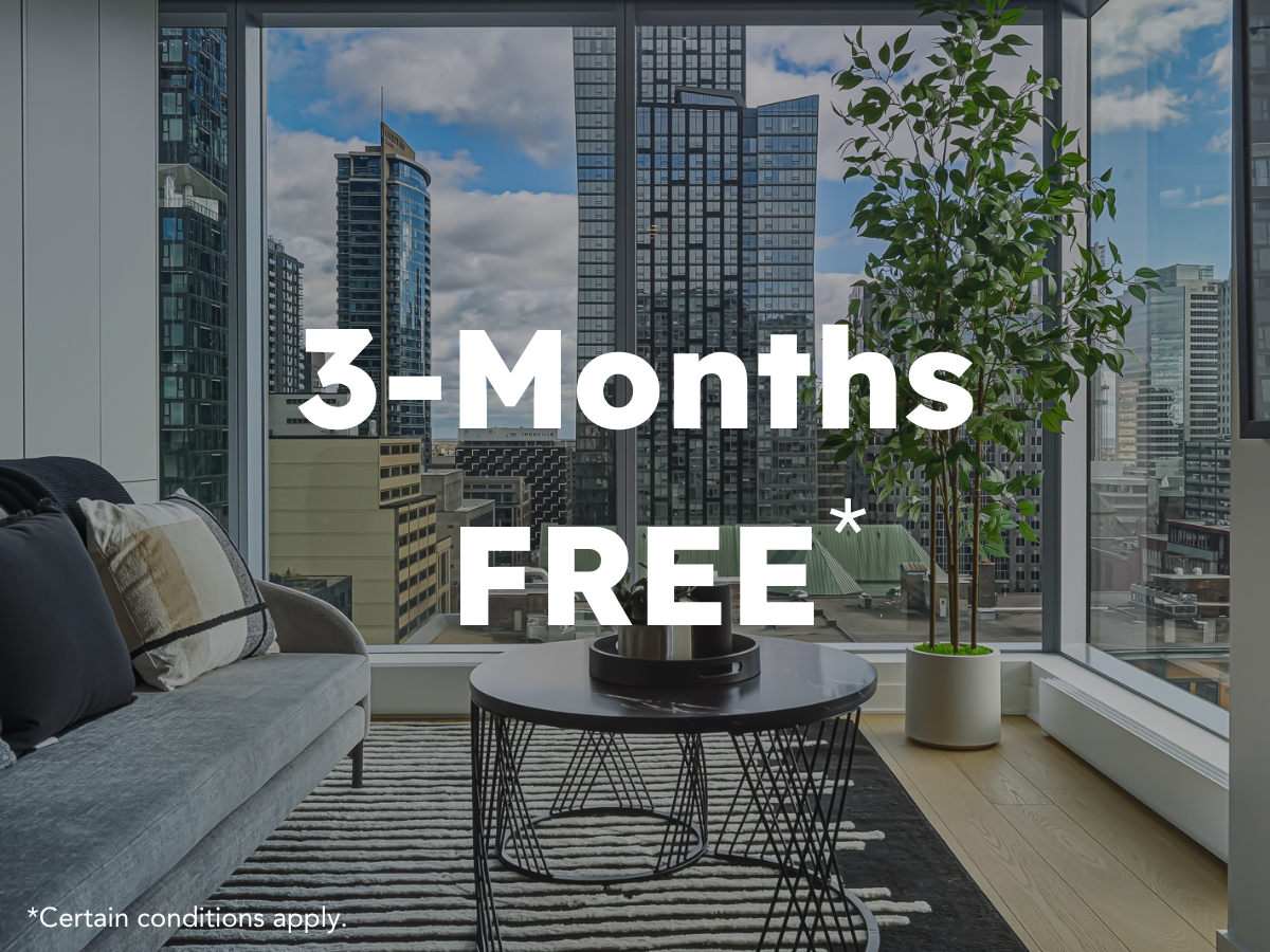 Primeira - 3 months free