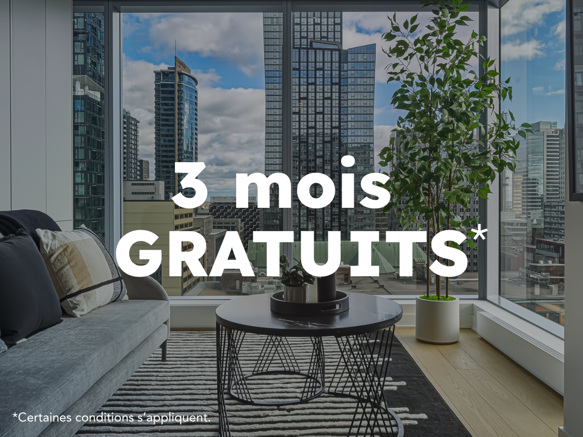 Primeira - 3 mois gratuits